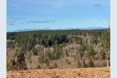 4319 183rd Avenue Ct SW, Longbranch, WA 98351 - Photo 28