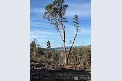 4324 183rd Avenue Ct SW, Longbranch, WA 98351 - Photo 30