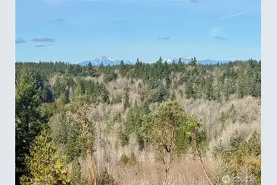 4324 183rd Avenue Ct SW, Longbranch, WA 98351 - Photo 26