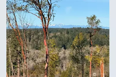 4324 183rd Avenue Ct SW, Longbranch, WA 98351 - Photo 10