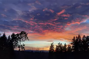 7655 Forest Ridge Dr NE, Bremerton, WA 98311 - Photo 20