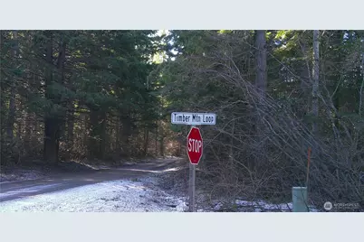 1941 Timber Mountain Loop, Cle Elum, WA 98922 - Photo 2