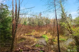 5955 Delridge Wy SW, Seattle, WA 98106 - Photo 24