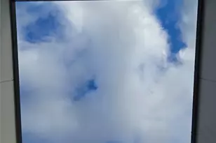 1810 23rd Ave, Seattle, WA 98122 - Photo 8