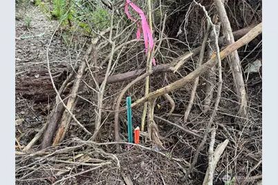 17680 Hallman Road NW, Poulsbo, WA 98370 - Photo 14