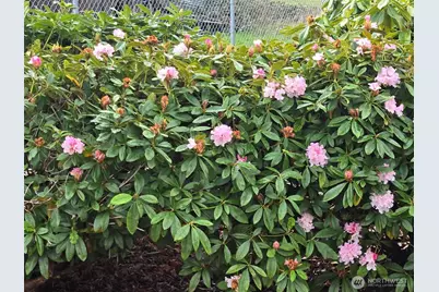 212 Old Owen Road #59, Sultan, WA 98294 - Photo 18