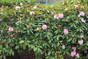 212 Old Owen Rd, Sultan, WA 98294 - Photo 18