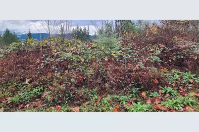 0 E Twanoh Heights Road, Belfair, WA 98528 - Photo 14