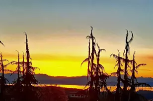 230 Rocky Mountain High Rd, Camano Island, WA 98282 - Photo 4