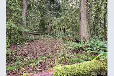 185 Xx 123rd (Northern Lot) Avenue NE, Arlington, WA 98223 - Photo 12