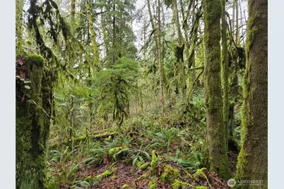 185 Xx 123rd (Northern Lot) Avenue NE, Arlington, WA 98223 - Photo 24