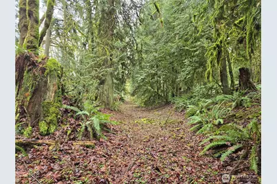 185 Xx 123rd (Northern Lot) Avenue NE, Arlington, WA 98223 - Photo 6