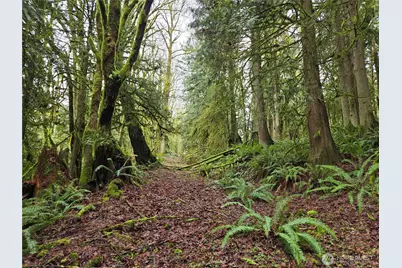 184 Xx 123rd (Central Lot) Avenue NE, Arlington, WA 98223 - Photo 14