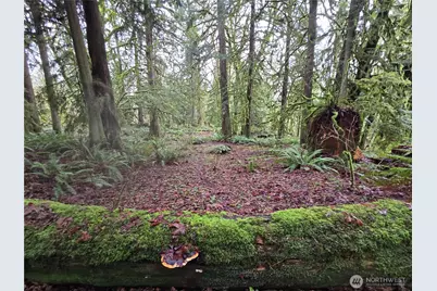 184 Xx 123rd (Central Lot) Avenue NE, Arlington, WA 98223 - Photo 18