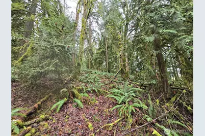 183 Xx 123rd (Southern Lot) Avenue NE, Arlington, WA 98223 - Photo 12