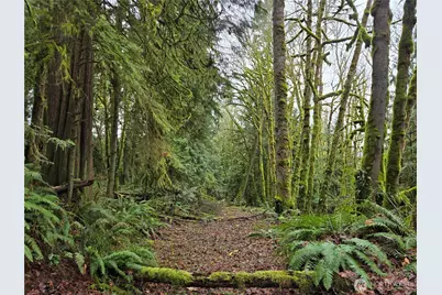 183 Xx 123rd (Southern Lot) Avenue NE, Arlington, WA 98223 - Photo 8