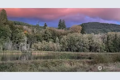 402 Jackson Street, Ryderwood, WA 98581 - Photo 32