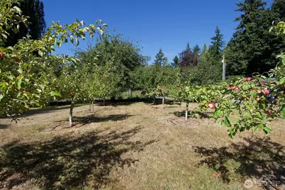 477 Wasankari Road, Port Angeles, WA 98363 - Photo 34