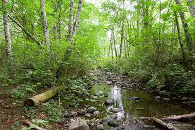 477 Wasankari Road, Port Angeles, WA 98363 - Photo 30