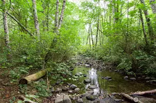 477 Wasankari Rd, Port Angeles, WA 98363 - Photo 30