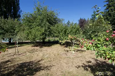 477 Wasankari Road, Port Angeles, WA 98363 - Photo 26