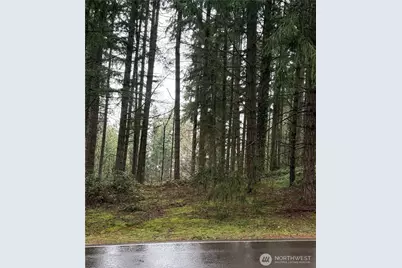 22020 Clearlake Boulevard SE, Yelm, WA 98597 - Photo 2