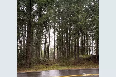 22020 Clearlake Boulevard SE, Yelm, WA 98597 - Photo 1