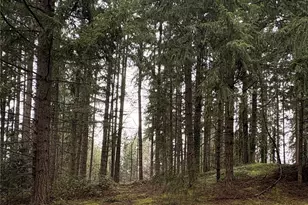 22020 Clearlake Blvd SE, Yelm, WA 98597 - Photo 1