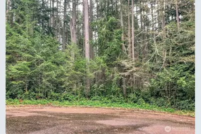 12514 93rd Street Ct, Anderson Island, WA 98303 - Photo 2