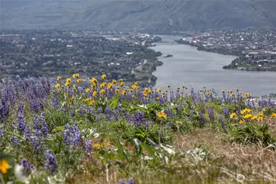 0 Lot 1 Burch Mountain Road, Wenatchee, WA 98801 - Photo 28