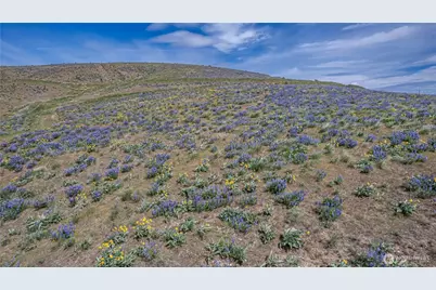 0 Lot 1 Burch Mountain Road, Wenatchee, WA 98801 - Photo 12