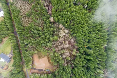 0 Greenberg Lane, Belfair, WA 98528 - Photo 4