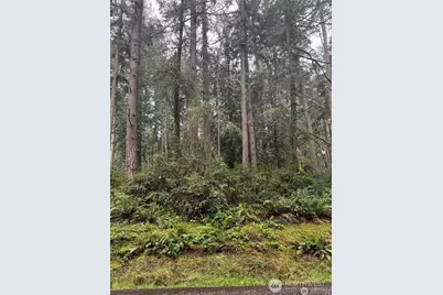 12708 Lovass Road, Anderson Island, WA 98303 - Photo 1