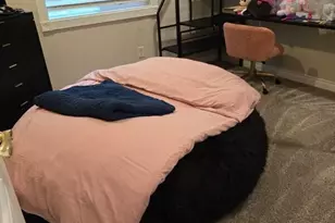 2455 130th Ave SE, Bellevue, WA 98005 - Photo 8