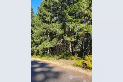 10511 130th Avenue, Anderson Island, WA 98303 - Photo 1