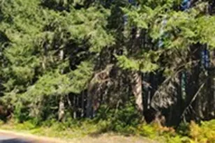 10511 130th Ave, Anderson Island, WA 98303 - Photo 1