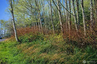 821 Duck Lake Drive NE, Ocean Shores, WA 98569 - Photo 4