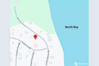 821 Duck Lake Drive NE, Ocean Shores, WA 98569 - Photo 8