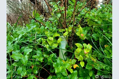 821 Duck Lake Drive NE, Ocean Shores, WA 98569 - Photo 6