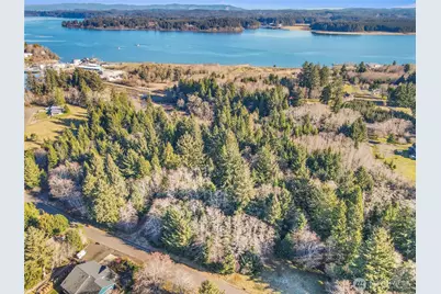 0 Lot 20 Ranta Road, South Bend, WA 98586 - Photo 6