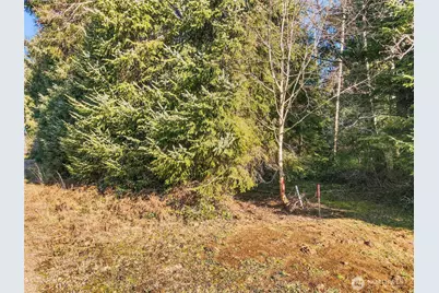 0 Lot 20 Ranta Road, South Bend, WA 98586 - Photo 28
