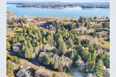 0 Lot 20 Ranta Road, South Bend, WA 98586 - Photo 26