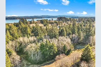 0 Lot 20 Ranta Road, South Bend, WA 98586 - Photo 12