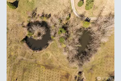 4890 Lost Mountain Road, Sequim, WA 98382 - Photo 12