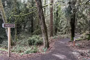 7139 NE Dolphin Dr, Bainbridge Island, WA 98110 - Photo 36