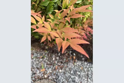 5613 Udall Avenue SE, Auburn, WA 98092 - Photo 34