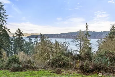 12511 Cole Point Drive, Anderson Island, WA 98303 - Photo 38