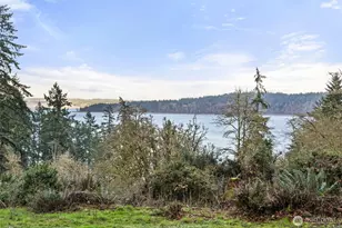 12511 Cole Point Dr, Anderson Island, WA 98303 - Photo 38