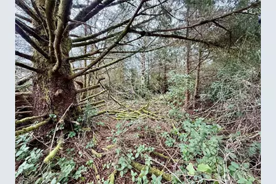 126 Olympic View Avenue NE, Ocean Shores, WA 98569 - Photo 10