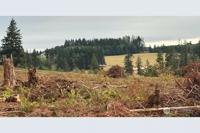 118 Woodberry Lane, Winlock, WA 98596 - Photo 8